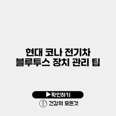 현대 코나 전기차 블루투스 장치 관리 팁
