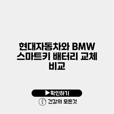 현대자동차와 BMW 스마트키 배터리 교체 비교