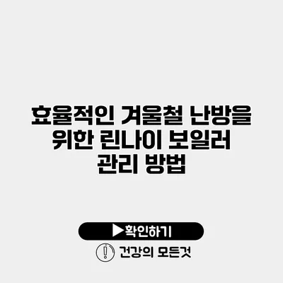 효율적인 겨울철 난방을 위한 린나이 보일러 관리 방법
